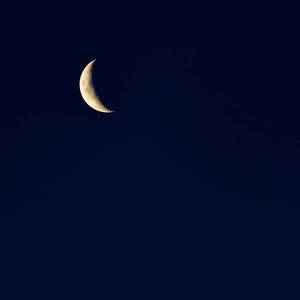 日本熟妇槡BBBB槡BBBB搡AA
