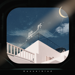 日本熟妇槡BBBB槡BBBB搡AA
